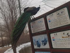 -淇河国家湿地公园