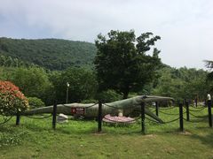 -金钉子远古世界景区