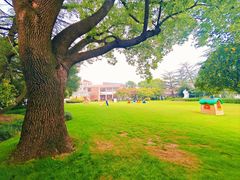 -宋庆龄幼儿园(虹梅路)