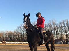 -月河湾马术俱乐部(朝阳店)