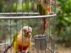 -南宫五洲植物乐园