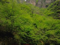 -孤山寨风景区