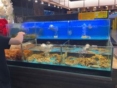 -苏格里岛自助烤肉海鲜火锅(成都金牛万达店)