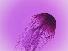 -沈阳海洋探索中心