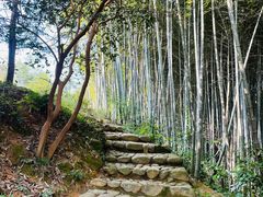 -杨家堂村
