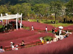 -牛岗山公园