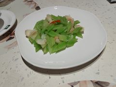 -青叶202都市餐厅(迪诺水镇店)