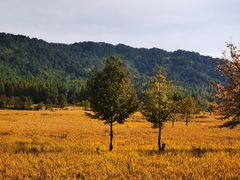 -塔川景区