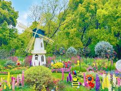 -上海共青森林公园