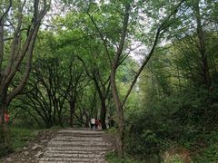 -白水冲瀑布