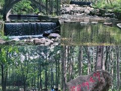 -洛阳白云山景区
