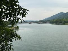-长广溪湿地公园