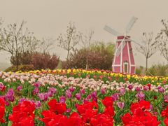 -泗洪洪泽湖湿地景区