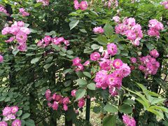 -江南大学(蠡湖校区)
