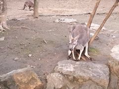 -杭州动物园