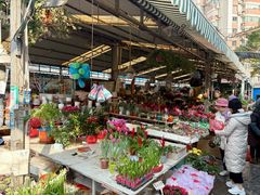 -曲阳花鸟市场(曲阳路店)