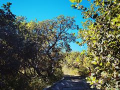 -北京西山国家森林公园