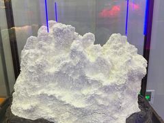 -游龙石文化科普馆