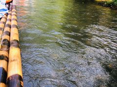 -九曲溪竹筏码头