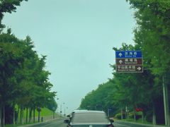 -棒棰岛宾馆景区