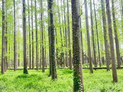 -上海怡沁园度假酒店