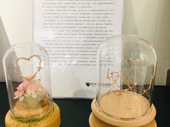 -星空失恋博物馆(北京路旗舰店)