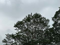 -深圳湾公园(南山区)