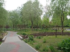 -莲花池公园