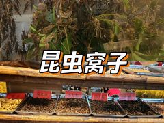 -昆虫窝子·特色云南菜(拓东路总店)