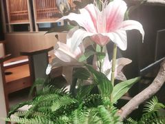 -呷哺呷哺(王府井喜悦店)