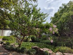 -上海醉白池公园