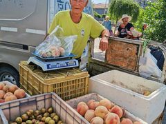 -苏家坨柳林村二月兰花海