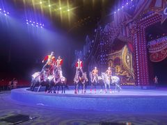 -珠海横琴长隆《卡卡虎奇遇记》