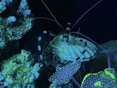 -欢乐海岸海洋奇梦馆