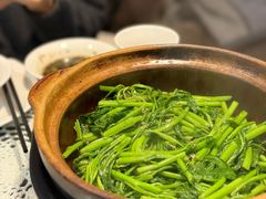 -熠盛粤味·顺德桑拿鸡(永康路店)