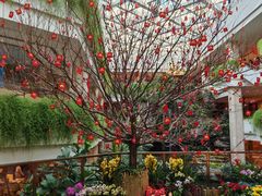 -广州白天鹅宾馆