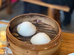 茨毛圆子-双塔老饭店