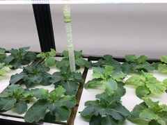 -中国天府农业博览园