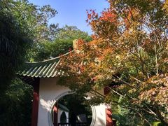 -中山公园