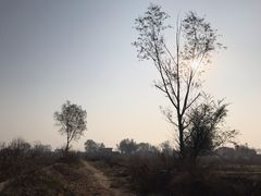-大屏嶂森林公园