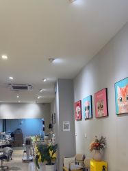 点击看大图 -洗脸猫·洗脸吧