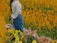 -三圣花乡旅游区