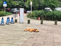 -重庆抗战遗址博物馆