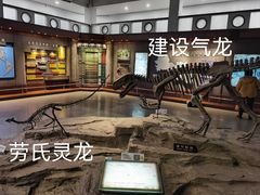-自贡恐龙博物馆
