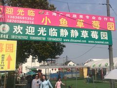 -小鱼草莓采摘园农家乐·小鱼餐厅