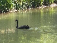 -宝岩生态观光园