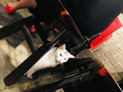 -张记牛肉面馆(天津路店)