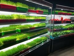 -番食园鲜食火锅(高新店)