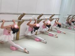 -朵拉舞蹈·少儿舞蹈·成人舞蹈(百花校区)