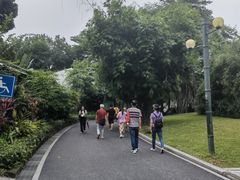 -晓港公园